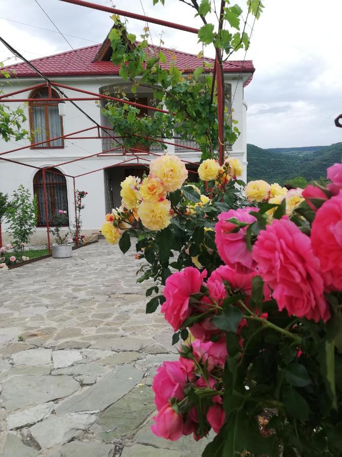 hotel paradise Dushet'i Exterior foto